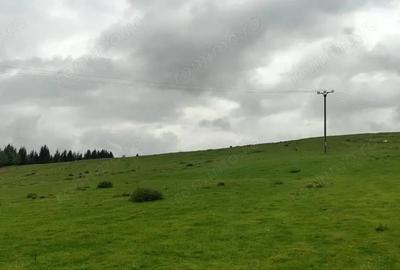 Teren de 1113 mp, în Paltin - 4