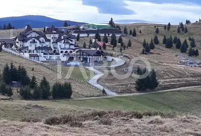 Teren de 3854 mp, în Paltin - 2