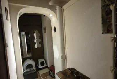 Apartament cu 2 camere semidecomandat în Valea Rosie - 4