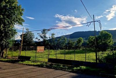 Teren 1,749mp Piatra-Neamt / Strada Zambilelor - 2