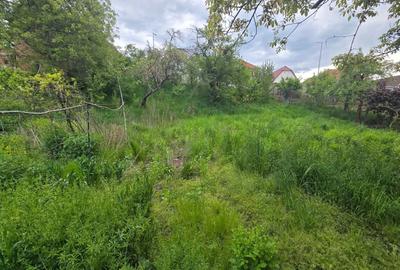 Casă cu 3 camere în Central - 1