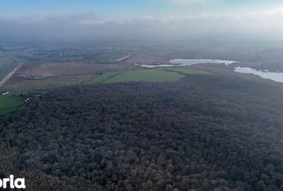 Teren de 16900 mp, în Grădiștea - 7
