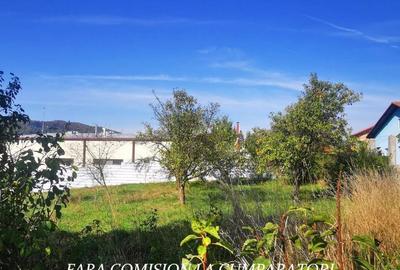 VLADESTI - TEREN 1174 MP - 8