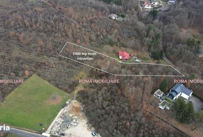 Teren de 7400 mp, în Tăuții-Măgherăuș - 2