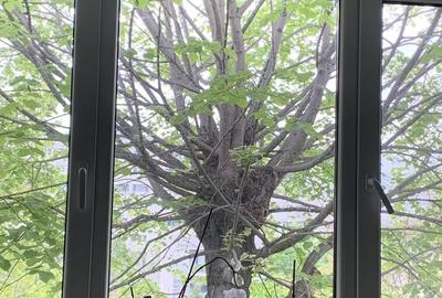 Apartament 3 camere, cu boxa, Campia Libertatii - Baba Novac,IOR, investitie - 9