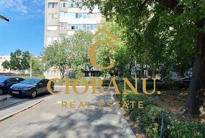 Apartament 2 camere de inchiriat zona Brazda lui Novac - 3