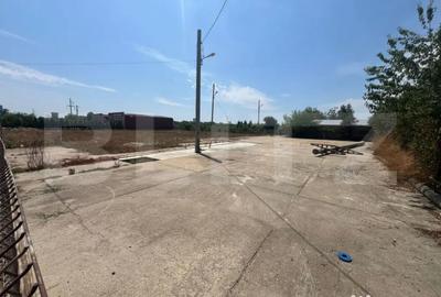 Teren de 3000 mp, în Centură - 4