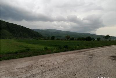 Teren de 2400 mp, în Central - 5