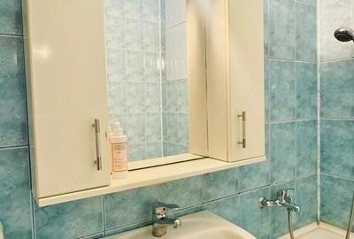 Garsonieră semidecomandată în Drumul Taberei - 7