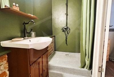 Oportunitate de business, zona ultracentrala, 8 camere - 19