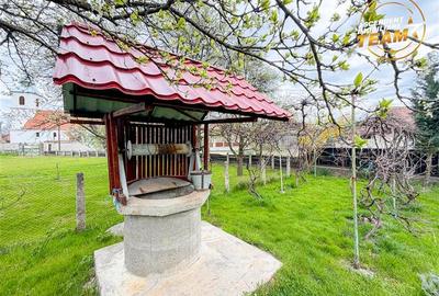 Casă individuală cu 2 camere cu Teren 3315 Mp în Boroșneu Mic - 15