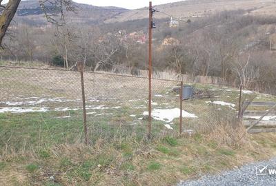 Teren autorizat, 800 mp, Ciurila - 7