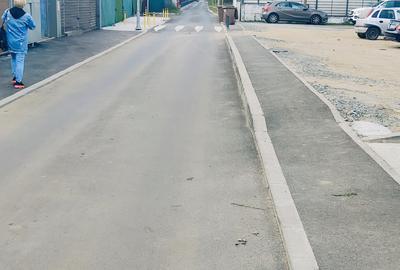 Apartament 4 camere Straulesti - 8