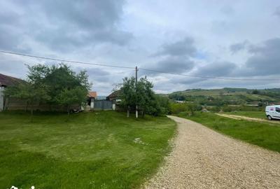 Casă cu 3 camere cu Teren 2472 Mp în Tămășeu - 5