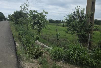Teren de 3400 mp, în Copăceanca - 5
