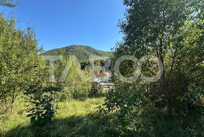 Casa individuala cu 2 corpuri COMISION 0% curte mare in Cisnadioara - 6