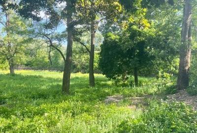 Spațiu comercial, în Vicovu de Sus - 5