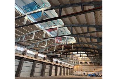 Spațiu comercial, de 14,000 mp, în Zona Liberă - 5