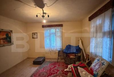 Proprietate completa in Sacuieni- Doua Case + Anexe - 9