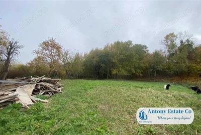 Teren de 1870 mp, în Paleu