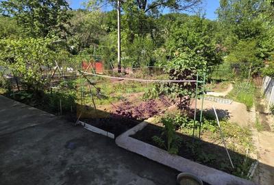Casă individuală cu 5 camere cu Canalizare în Mislea - 23