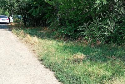 Casă cu 3 camere în Plevna - 2