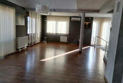 Casă cu 6 camere în Dacia - 4
