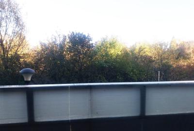 Apartament 2 camere Baneasa Natura Residence - 2