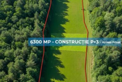 Teren de 6300 mp, în Ferneziu