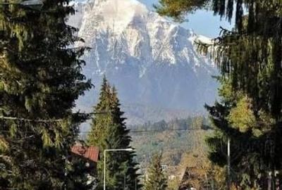 Teren de 15000 mp, în Cioplea