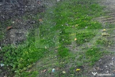 Casă cu 4 camere cu Teren 800 Mp în Cocorăștii Colț - 1