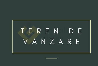 Spațiu comercial, în Moșnița Nouă - 2