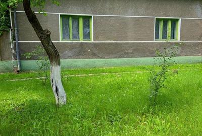 Casă cu 4 camere în Gurba - 5
