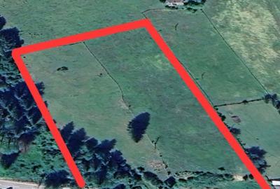 Teren de 15000 mp, în Șaru Dornei - 7