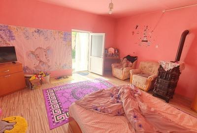 Casă cu 2 camere cu Teren 1199 Mp în Aradul Nou - 18
