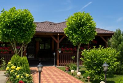 Casa solida, complet renovata, cu terasa generoasa – Bolintin Vale - 13