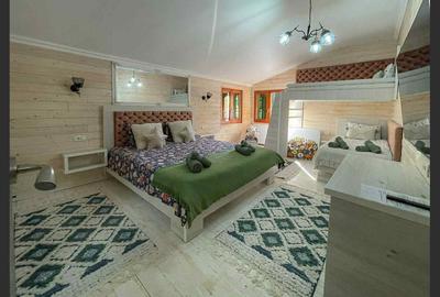 Casa de vacanta superba in Crivaia - 4