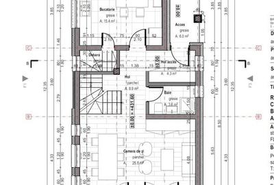 Casa individuala Narciselor 4 camere si teren 440 mp - 19