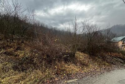 Teren intravilan 653 mp in Boldesti-Scaeni. - 7