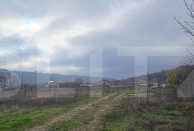 Teren intravilan de 2.000 mp, front 18 metri, Leamna de Jos - 1