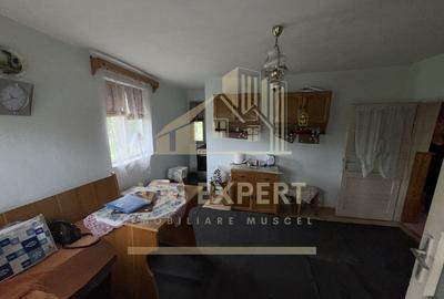 CASA 7 CAMERE TEREN 468 MP BUGHEA DE SUS ARGE? - 1