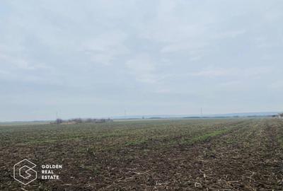 Teren, Intrare Recas, Drumul E70 - 2