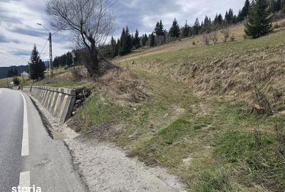 Teren de 15076 mp, în Iacobeni - 7