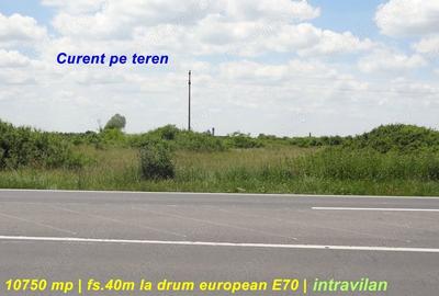 Teren de 10750 mp, în Pădurani - 1