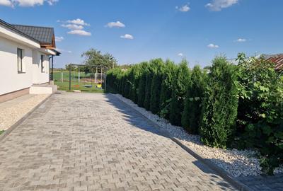 Casă cu 4 camere în Ciulnița - 7