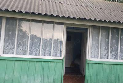 Casa, grajd, gradina plus dependinte - 7