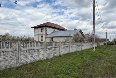 Casă cu Teren 3500 Mp în Rast - 4