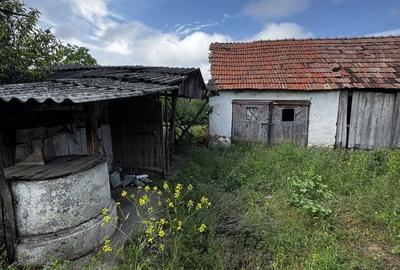 Casă individuală cu 4 camere cu Canalizare în Tărtăria - 4
