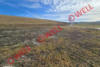 Spațiu comercial, în Barcani - 2