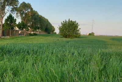 Teren de vânzare situat în Blejoi, zona Spitalului Județean Teren de vânzare situat în Blejoi, zona Spitalului Județean - 2